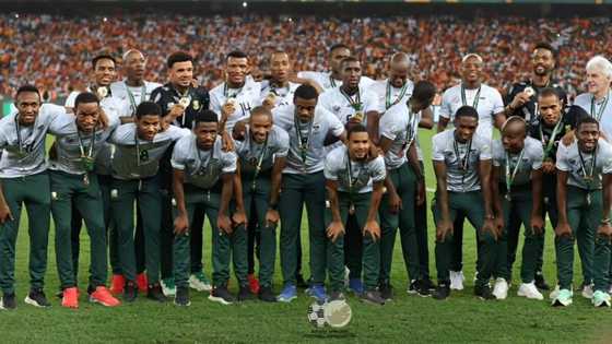 Bafana Bafana to receive hero's welcome for AFCON bronze win, SA supports plan