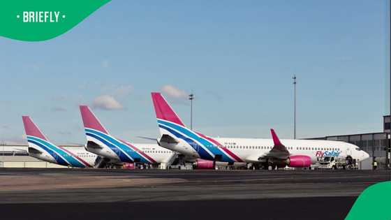 FlySAFair mocks customers for misunderstading R12 flight ticket sales in TikTok video