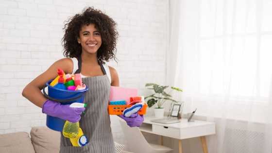 New domestic workers' salary guidelines, SA government encourages employers to adhere to 20% increase