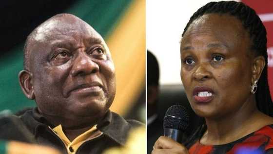 The tribe has spoken: President Ramaphosa won't be appearing at Public Protector Busisiwe Mkhwebane’s impeachment hearing