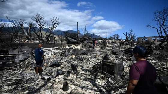 As climate catastrophes rise, reinsurers reduce risks