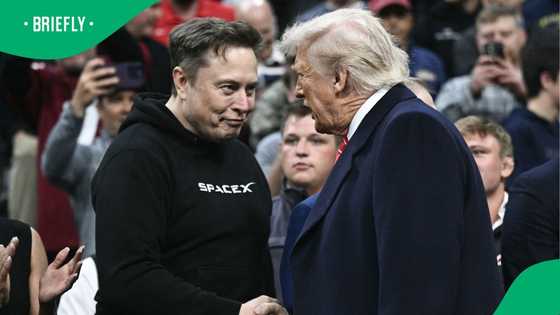 Elon Musk leaves scheduled position in US Government Efficiency Department