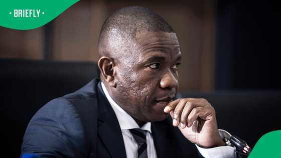 Madlanga Commission: Nhlanhla Mkhwanazi discusses how Brown Mogotsi contacted him