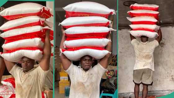 Man carries 5 bags of rice on his head during offloading at warehouse stirs concern: "Take it easy"