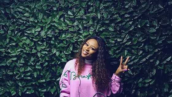 Confusing the enemy: DJ Zinhle shares picture that shatters pregnancy rumours