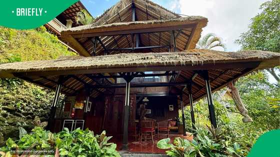 How much is needed to buy a 3-bedroom home in Bali: Property Guide for South Africans