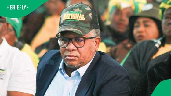 Fikile Mbalula praises SA delegation for representing country so well in USA, Mzansi doesn't agree
