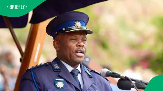 Lieutenant-General Shadrack Sibiya placed on leave, denies allegations made by Nhlanhla Mkhwanazi