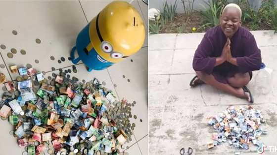 From over R24k in piggy banks to opening a spaza shop: 4 Money-saving achievements that inspired Mzansi