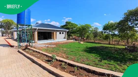 From Pretoria to the village: Siblings stunning Zimbabwe homestead wins hearts