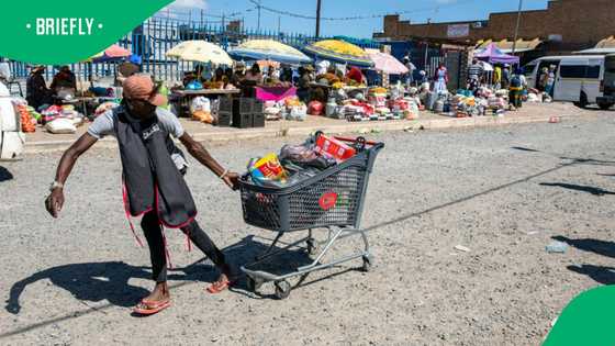 StatsSA reveals that Consumer Price inflation increases as food prices increase