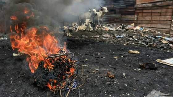 Cameroon's electronic waste recyclers struggle despite historic law