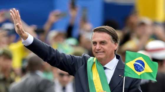 Brazil's Bolsonaro has 'every chance' of re-election: analyst