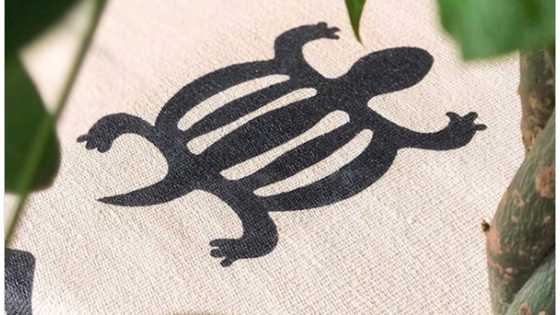 16 African symbols for God, love, and protection