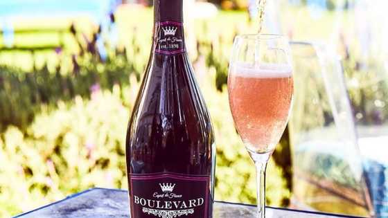 Boulevard Rose profile: Fascinating facts about the great French wine brand