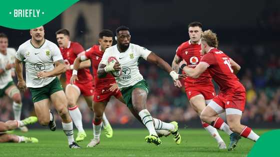 South African schools that have produced the most Springboks