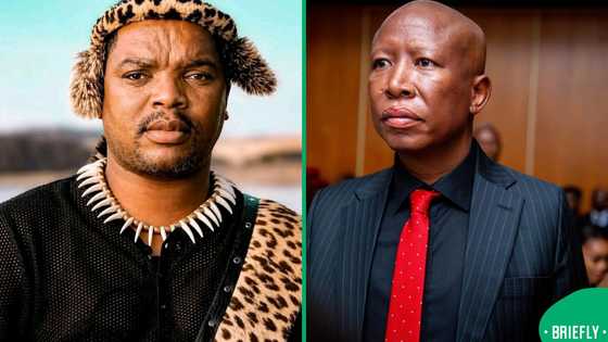 Ngizwe Mchunu continues feud with Malema over burnt house claims despite court order