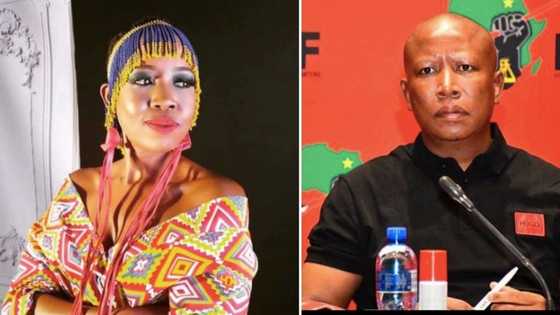 Ntsiki Mazwai blasts Julius Malema after his Women's Day address, SA defends him: "Why are you bitter?"