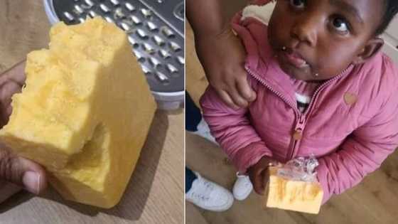 Dad Shares Funny Pic of Toddler With the Cheese, SA Can't Get Enough: 'Best Crime Ever'