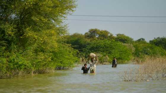 Food shock: Crop-battering disasters highlight climate threat