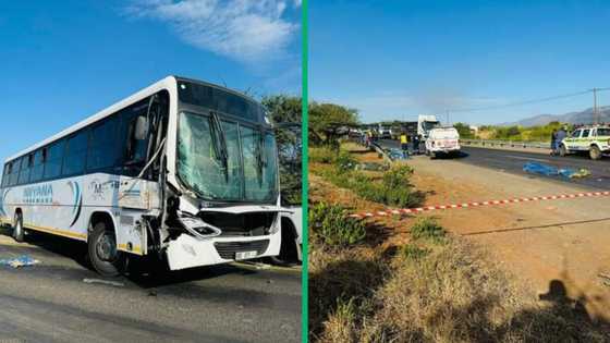 8 Die in Limpopo crash between truck and bus, South Africans devastated