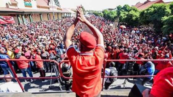 Hashtag #VoetsekEFF trends again as SA airs frustrations about the party
