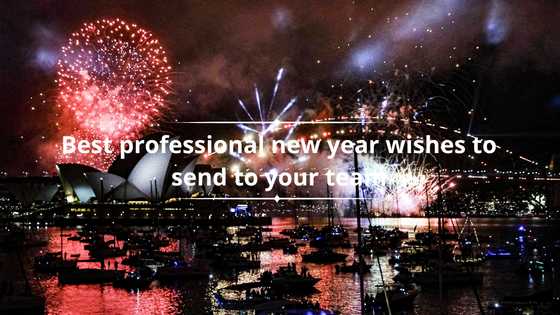 Best professional new year wishes to send to your team in 2025