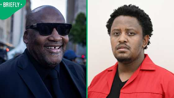 Sinawo Thambo questions Gayton McKenzie's claims about Joslin evidence, SA debates minister's motive