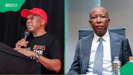 Economic Freedom Fighters president Julius Malema sentenced to 5 years plus fine