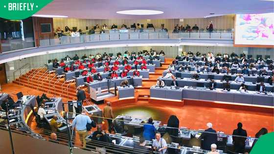 Ekurhuleni council meeting collapses after political parties walk out over mayor's absence, SA reacts