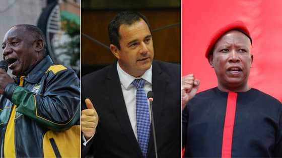 Manifestos explained: Here's what the ANC, DA and EFF are promising voters