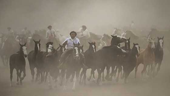 Horseman and hero: Who is Argentina's 21st century gaucho?