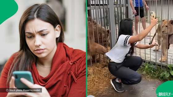 "Cruelty to animals": Woman pulled by large bear while trying to capture content, SA unimpressed