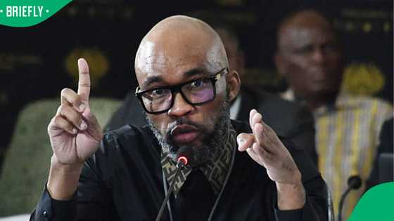 SA reacts to the Woolworths bag change in colour after Ad Hoc Committee mention