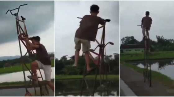 Young boy causes massive stir online with tall bicycle as he displays balancing skills
