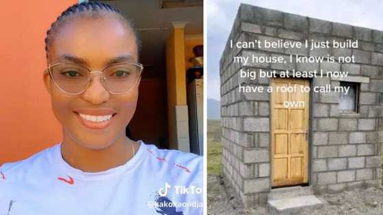 A lady builds house from scratch, users compare it to Minecraft video game