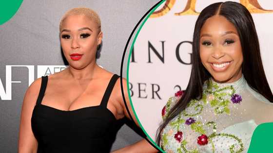 Minnie Dlamini looks stunning in her gown as she welcomes 2025, SA throws shade at "over-editing"