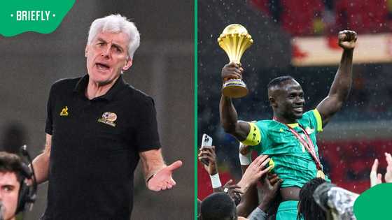 Broos blasts CAF over Senegal AFCON 2025 title decision