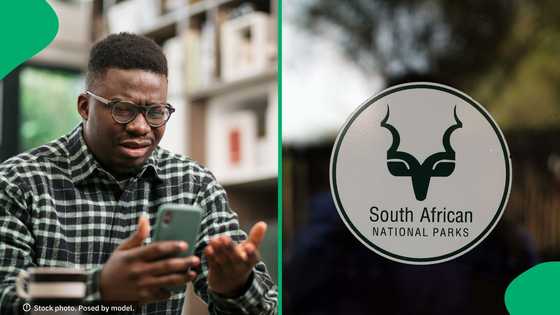 Kruger National Park rangers fatally shoot suspected poacher, SA questions why SAPS is investigating