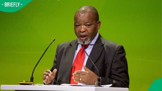 Gwede Mantashe criticised DRC's minerals deal with the United States, South Africans debate