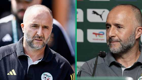 Algerian supporters attack coach Djamel Belmadi after poor team's AFCON showing