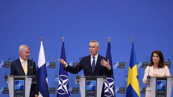 NATO launches membership process for Sweden, Finland
