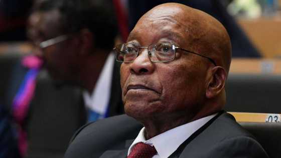 Jacob Zuma's son, Edward, makes bold challenge, rejects court judgement