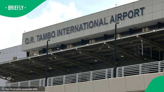 OR Tambo police arrest South African man with cocaine bound for Hong Kong