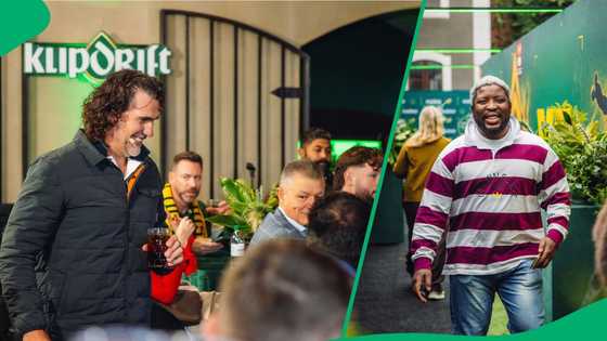 South Africans invited to find their Springbok lookalike in new rugby campaign