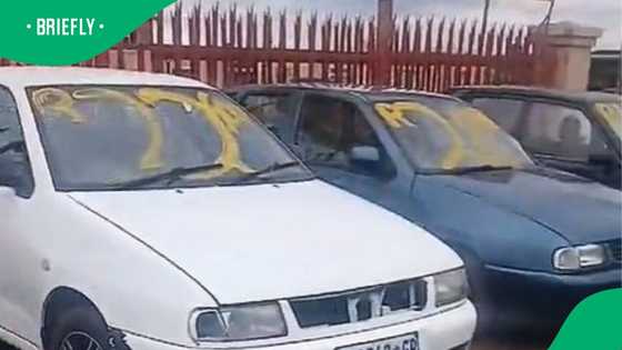 Man shows cars for sale from R10k in TikTok video, South Africa in disbelief