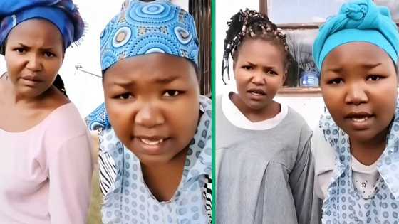 Eastern Cape makotis hilariously clap back at a troll for mocking their English in a video