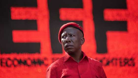 Malema wants the DA To retract incitement allegations or he is suing for R1 million