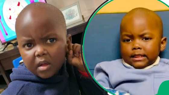 "You don't fit in": SA floored by boy doubting family tree in viral TikTok video