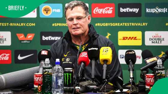 Rassie Erasmus sends clear message on Springboks’ preparations for decisive All Blacks Test